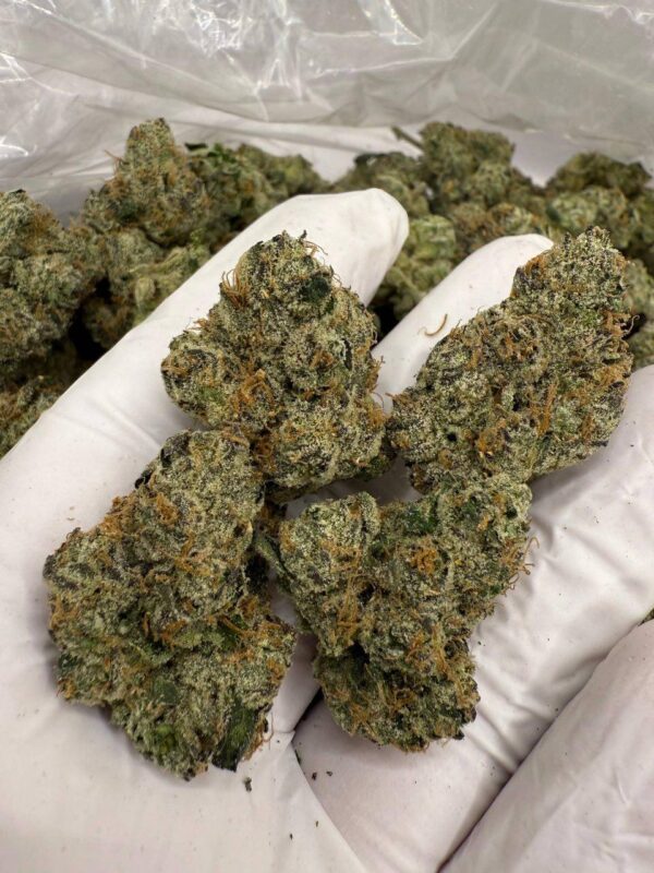 BLUEBERRY NERDZ