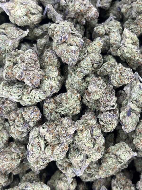 Baja Berries