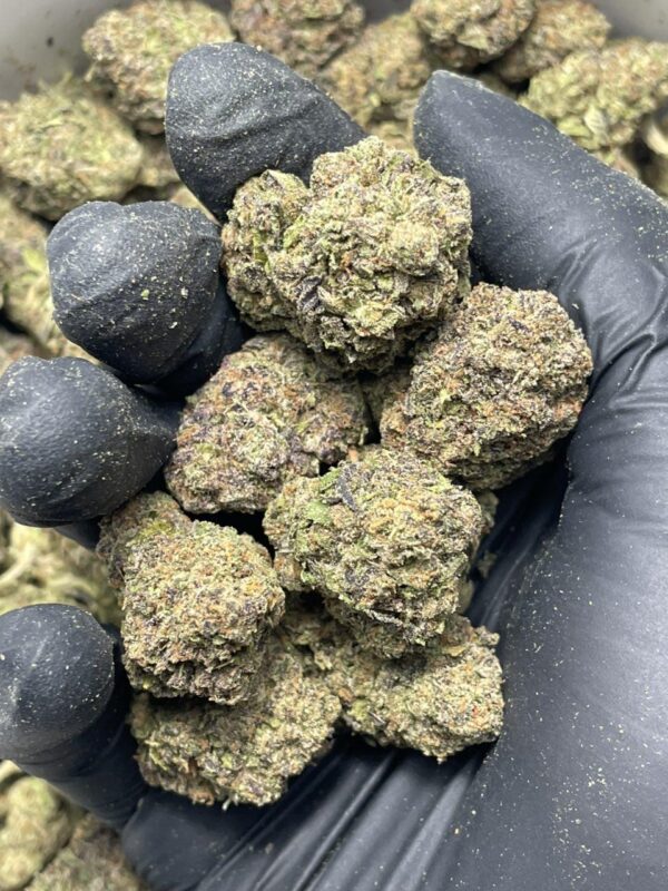 Black Runtz - Image 2
