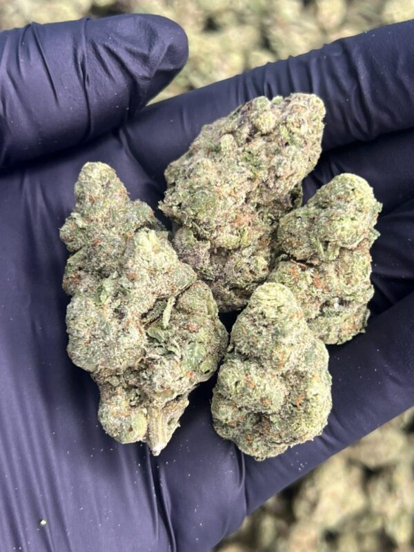 Cali Apples🍏 ⛽️ - Image 2