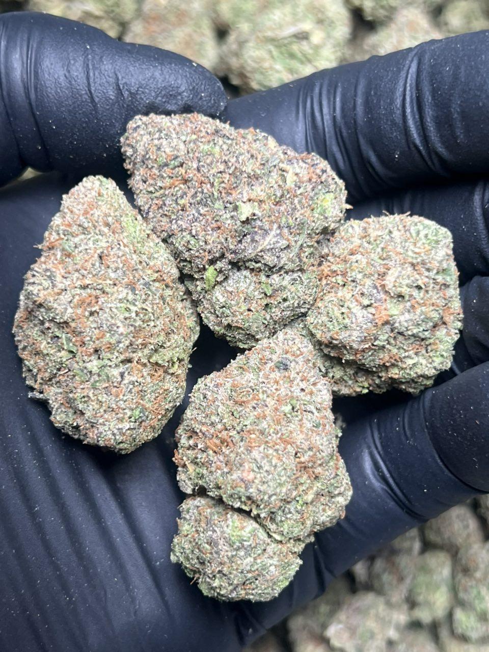 Candy Comet - Image 2