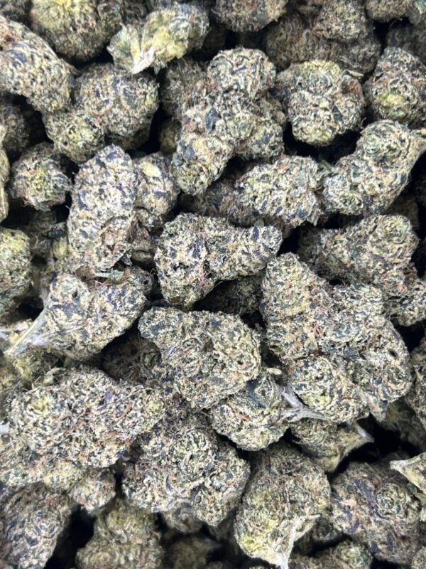 Candyland 🍬 🏞️