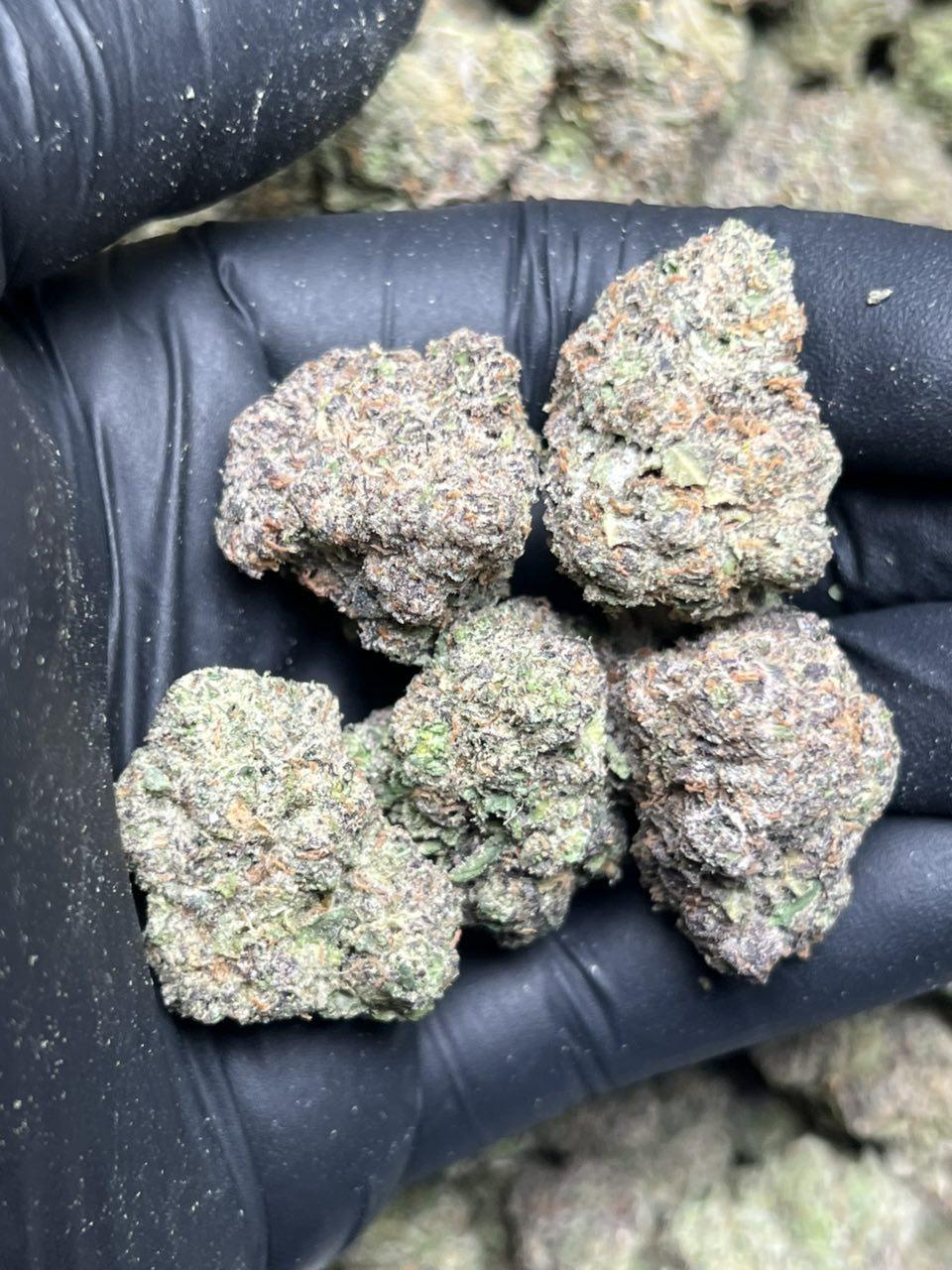 Cherry Garcia - Image 2