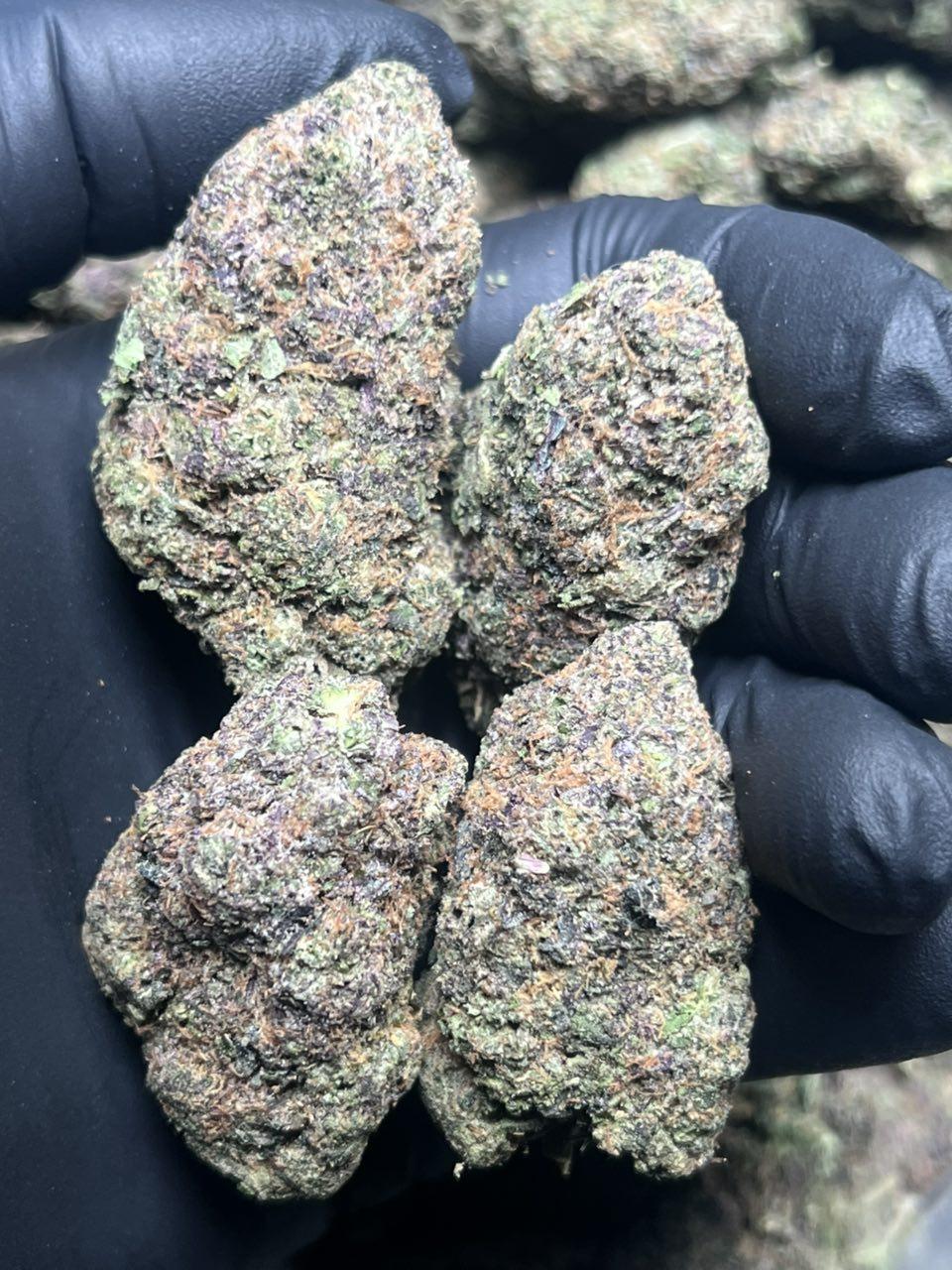 Gelonatti 🍋 🍭 - Image 2