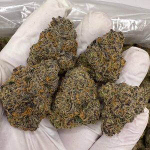 PERMANENT MARKER BX🖊️⛽️