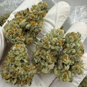 RAINBOW INFERNO 🌈 🔥