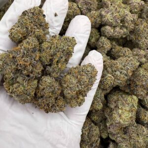 SPRUNGALUNG ⛽️ 🍭