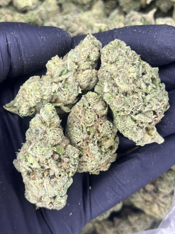 Team Rocket 🚀 🙀 - Image 2