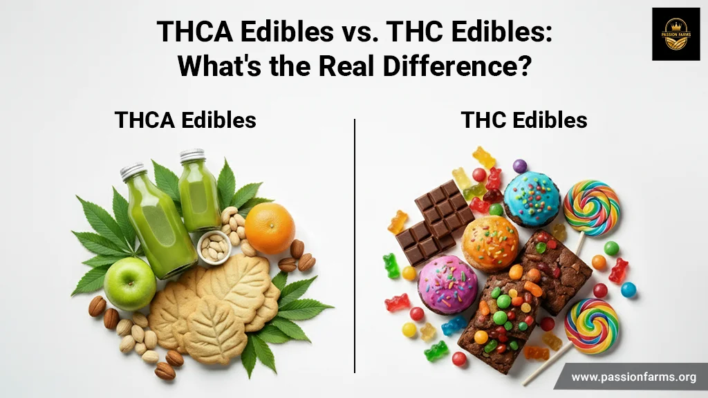 thca vs. thc edibles: understanding the real difference