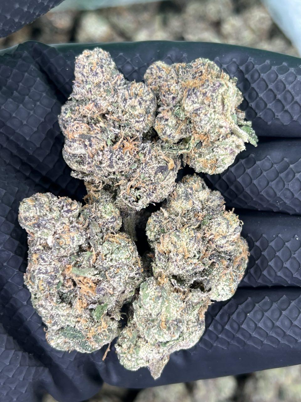 Lemon Fuckin Gelato - Image 2