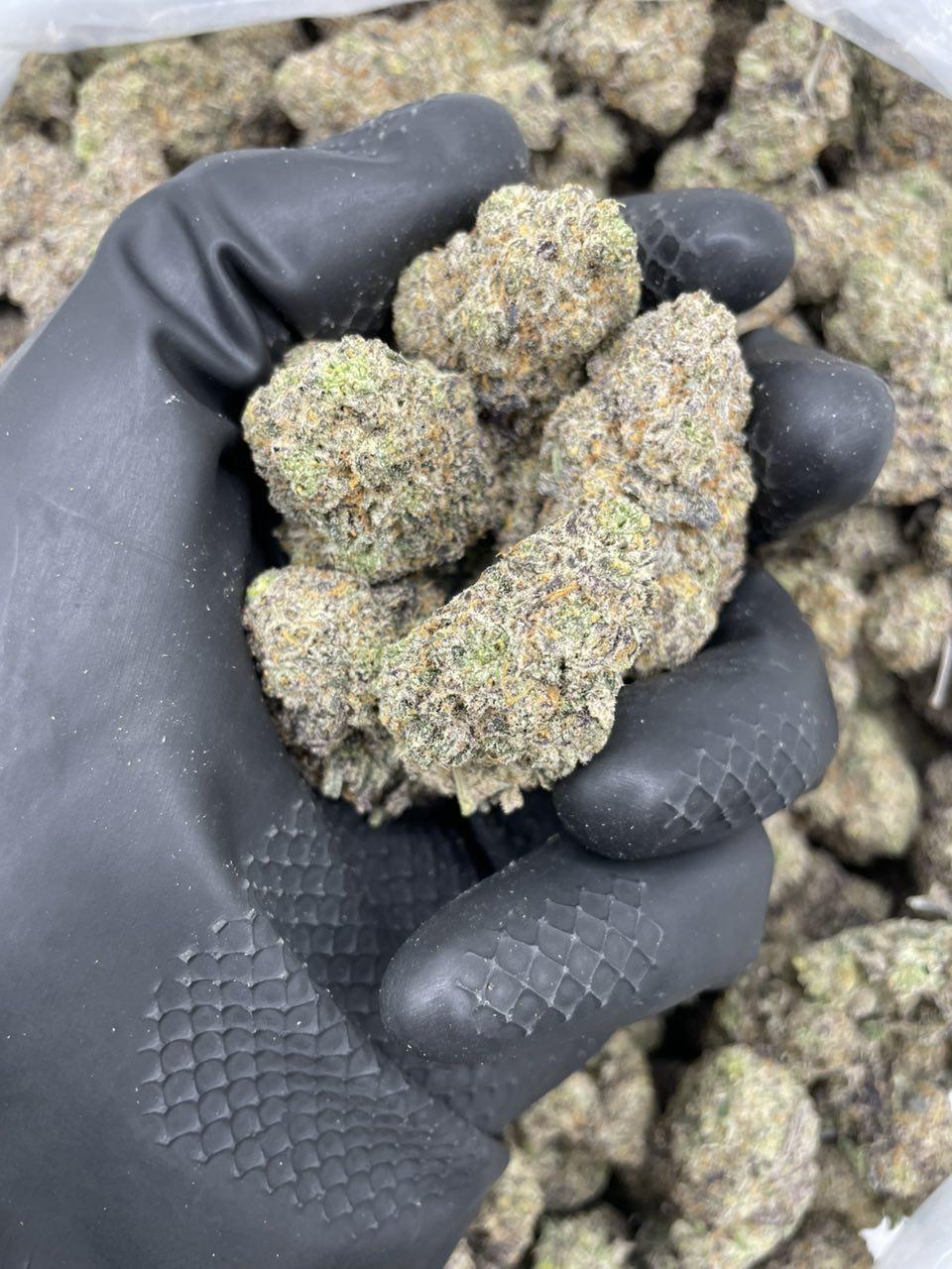 Crystal Gushers - Image 2