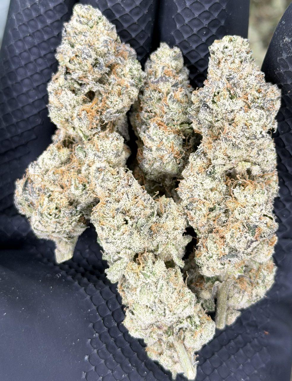 Lemon Zoap - Image 2