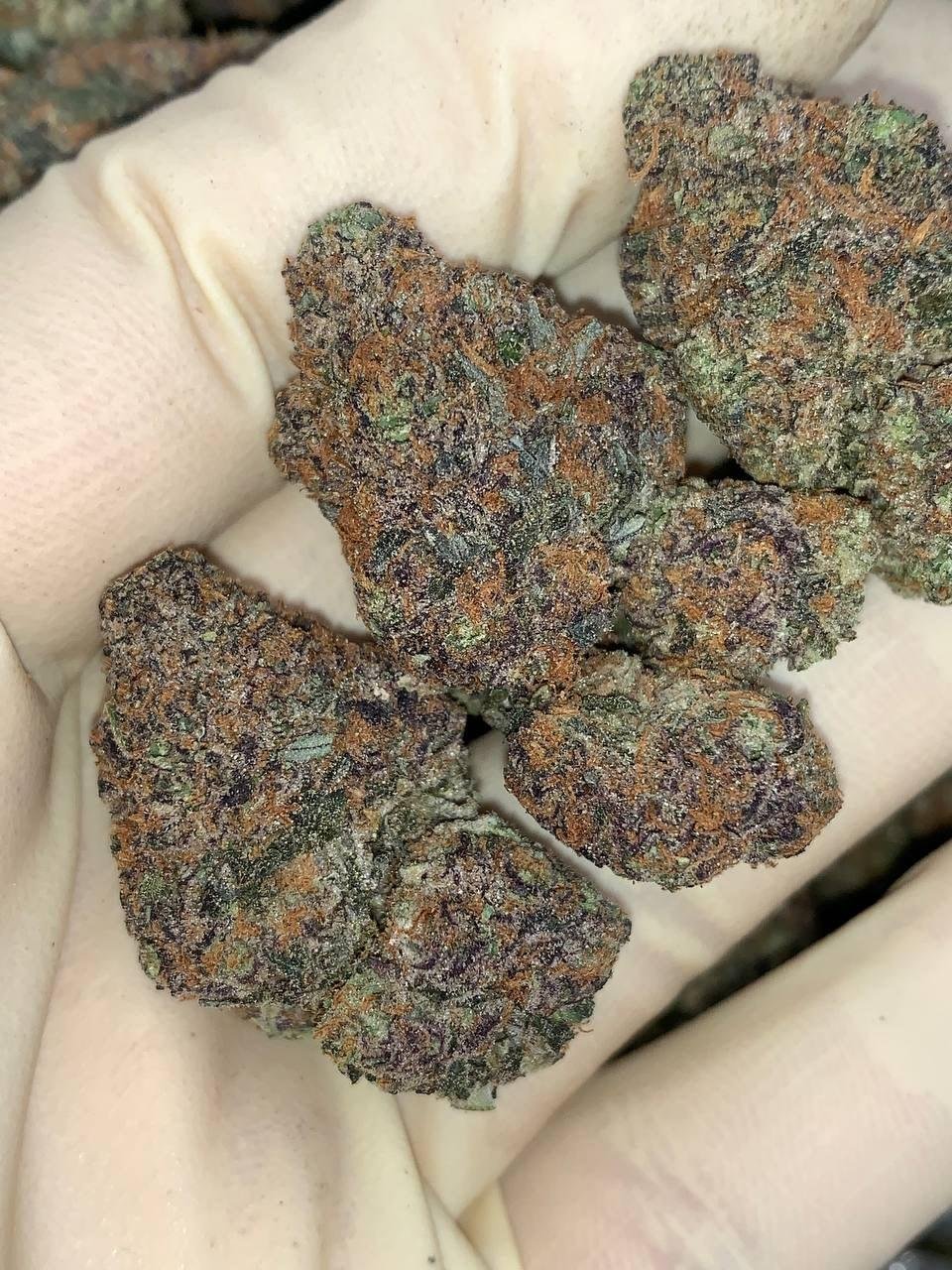 Crystal Biscotti 🔮 🍪