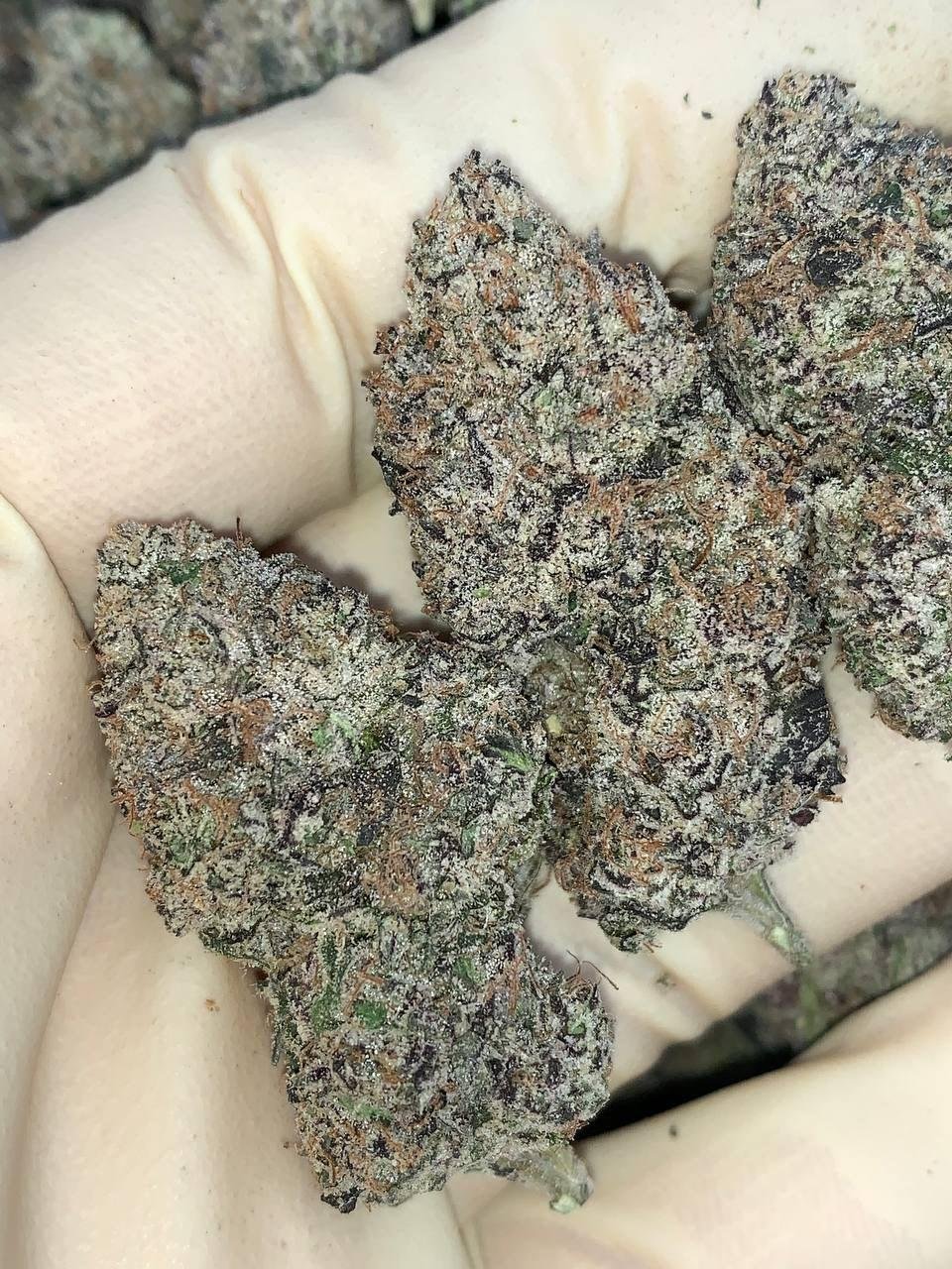 Dirty Sprite