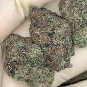 Melonade V6 🍈 🍭