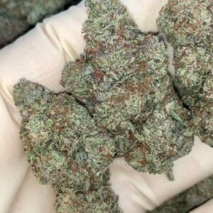 OG Sherb ⛽️ 🦨