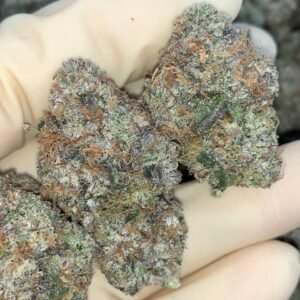 Peach Gumbo 🍑 🍤