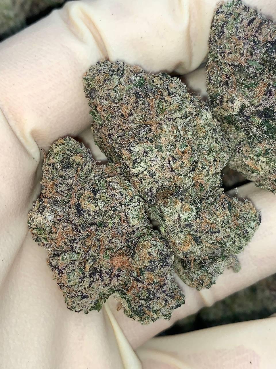 Rainbow Smurfs 🌈 🫐