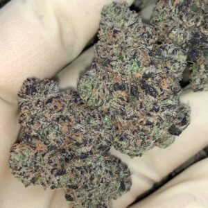 Solar Flare ☀️ ⛽️