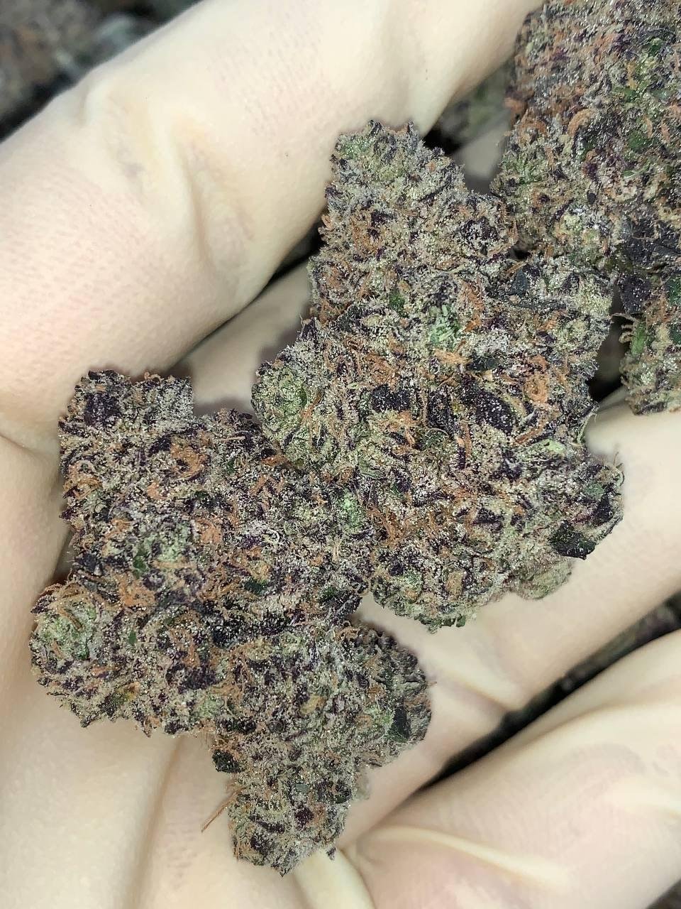 Solar Flare ☀️ ⛽️