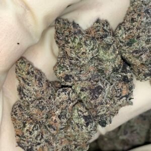 Super Runtz A ⛽️ 🦨