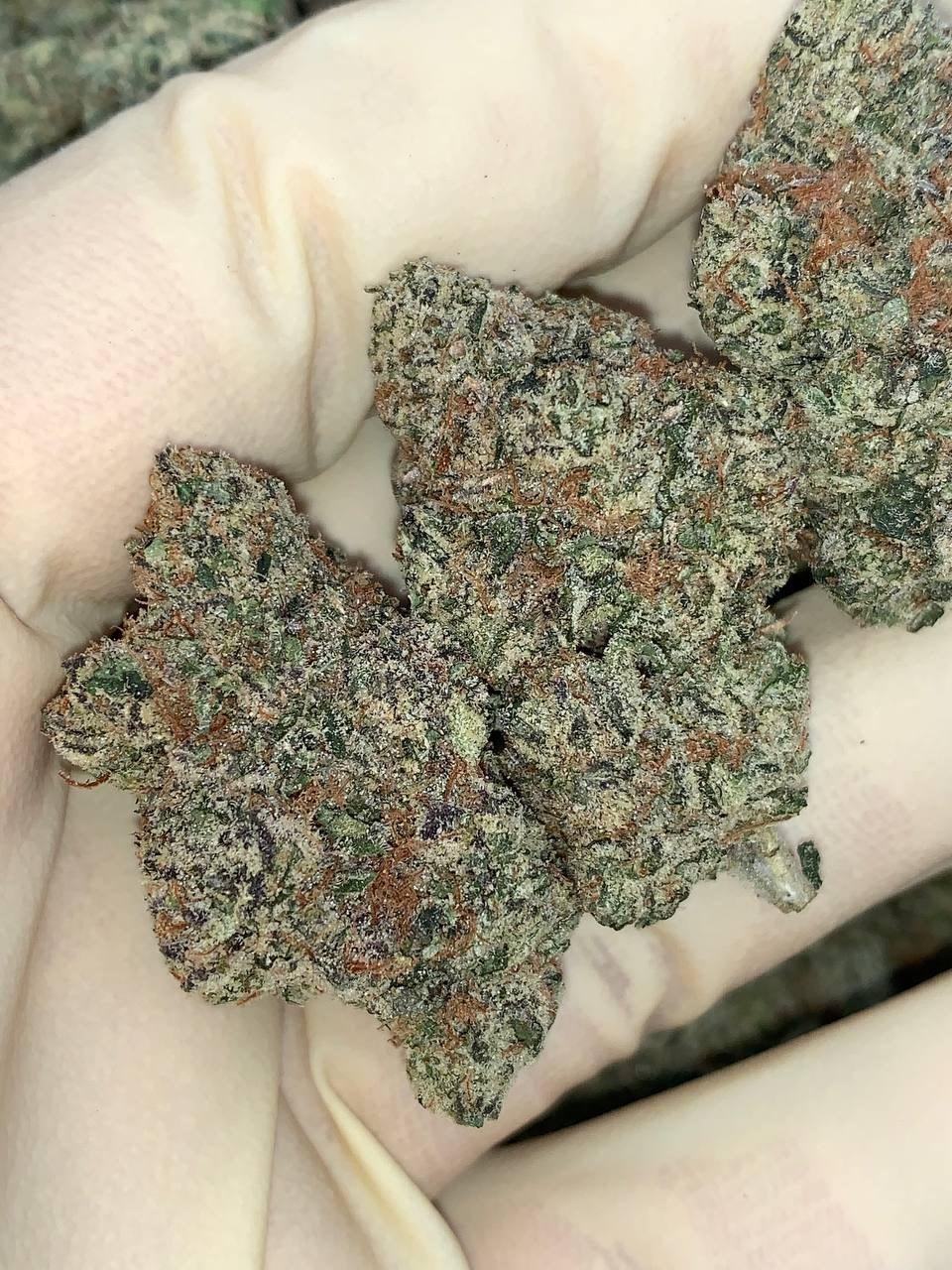 White Raspas