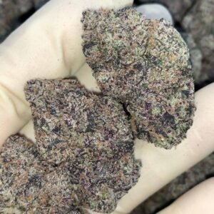 X Rated Candy 🔞 🍬