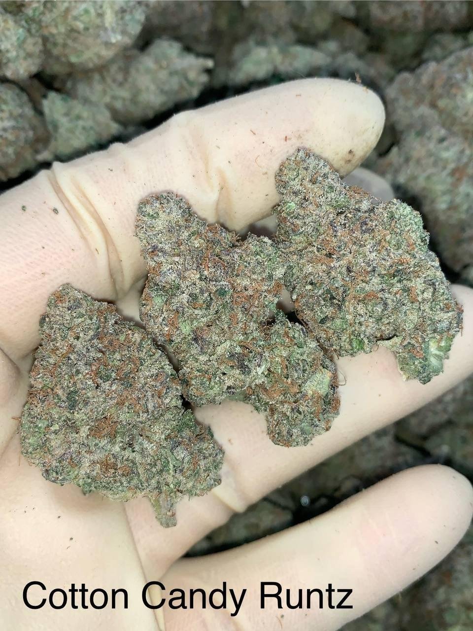 Cotton Candy Runtz - Image 2