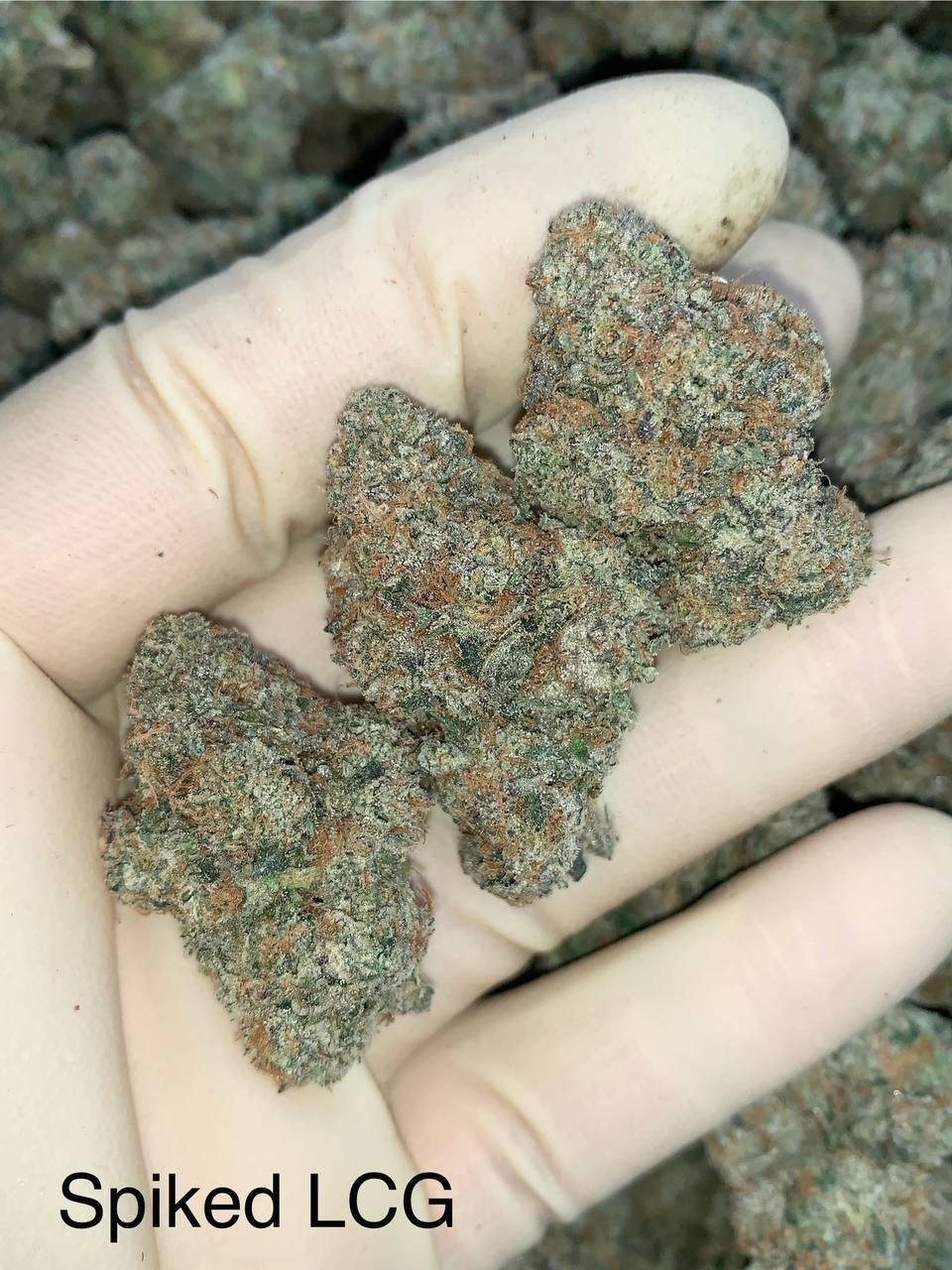 Spiked LCG - Image 2