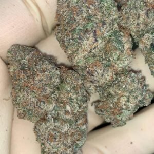 Spiked White Cherry Gelato