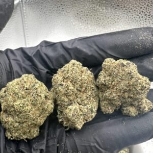 Bubblegum Yum
