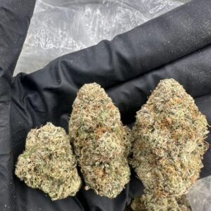 Lemon Drop