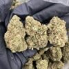 Lemon Kush