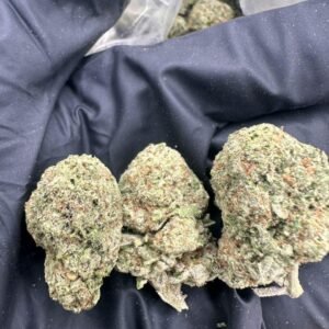 Papaya Punch