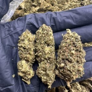 Purple Punch