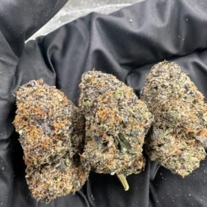 Tropicana Gelato
