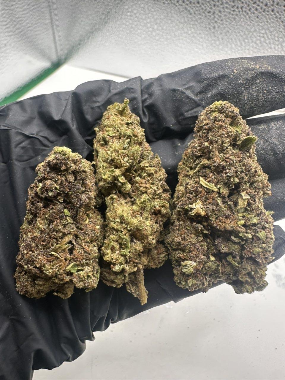 Black Cherry
