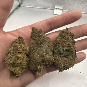 GELATO