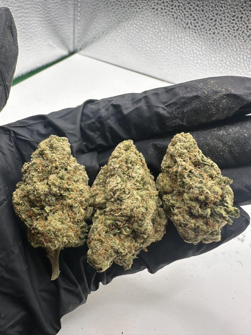 Guava Runtz