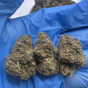 Mendo Breath