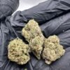 Noho Gelato