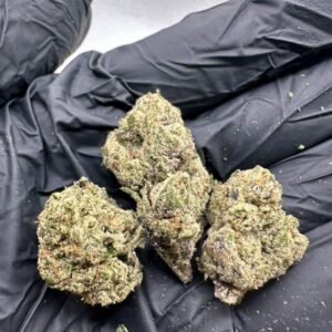 Noho Gelato
