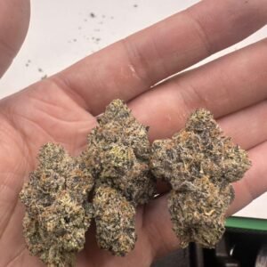 Purple Rain