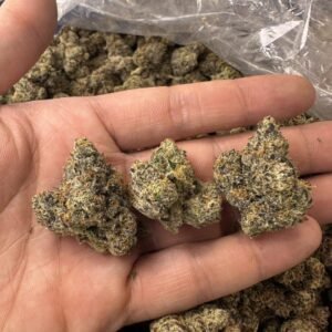 A27 Blue Nerds