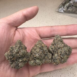 Biscotti