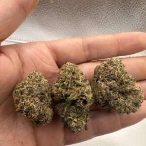 Chocolate Hashberry