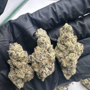 GMO X OZ KUSH