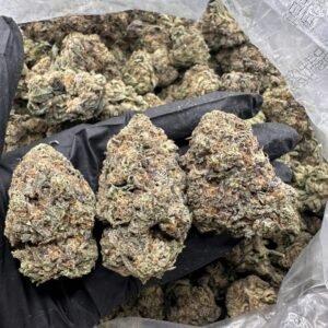 Gorilla Glue
