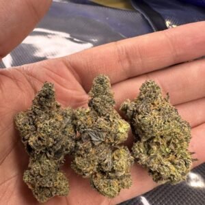 Grandma’s Cookies