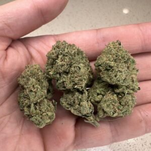Lemon Cherry Gelato
